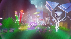 Tremendo bosque meridiano