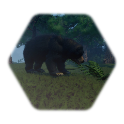 American Black Bear