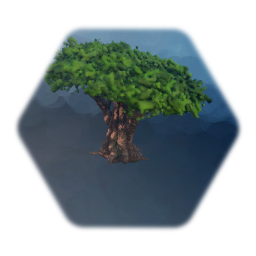 Suzi’s flora collection