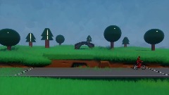 Bicycle Run