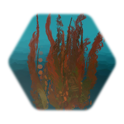 Coral Reef Assets