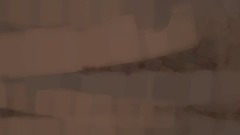 Childhood Animated Shows Ranking from the best to Worst