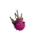 prolific-thorn98