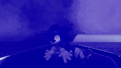 Sonic rush
