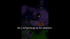 Yeah He is def gonna go up for adoption