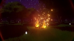 The video