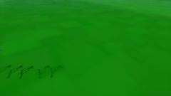 Remix of Kaiserin (Flying, Climb, Swim, Bow, Sword, Horseback C