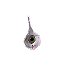 hg_dog2014