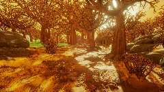 A place of tranquillity