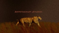 H. Latidens Showcase