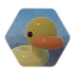 Pool Duck
