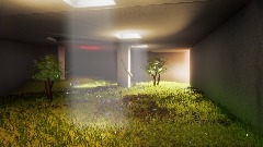 Grassrooms