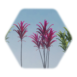 Cordyline Tropical Tree