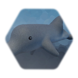 Dolphin