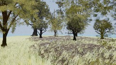 a little Forest Background