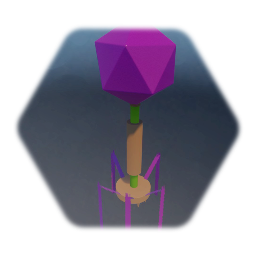 Bacteriophage