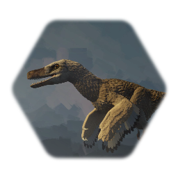 Velociraptor (feathered)