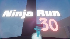 Ninja Run 30 Horizontal ver.