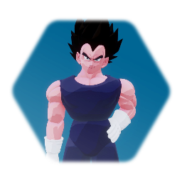 Vegeta (Training Suit)