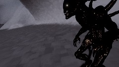 Xenomorph