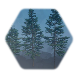 Swaying Blue Spruce Tree