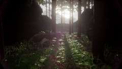 Photorealistic Forest