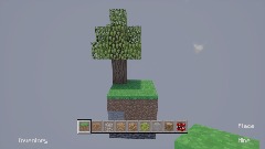 Skyblock World
