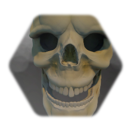 Skull  (High graphics)
