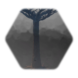 Tall Tree