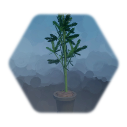 Tall Eastern Plant (ZX)
