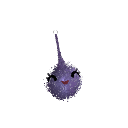 luber_12