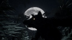 Werewolf Attack