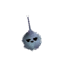 Nova11M