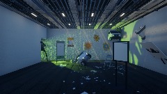 The complex