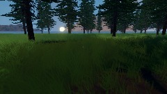 Sons of the Forest Neverland Original Location