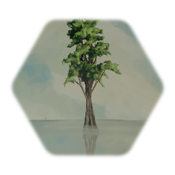 Swamp Tree