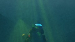 Darron mk-1 animations