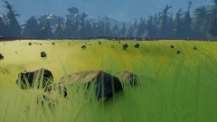 Stone Clearing (VR Compatible)