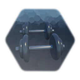 Bodybuilding weights