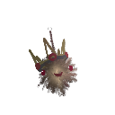 magusstrix