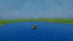 Duck simulator