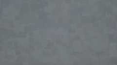 The QR code