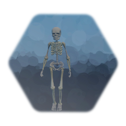 Skeleton Enemy