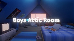 Boys Attic Room
