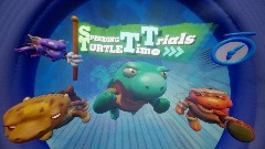 Speeding Turtle Time Trials