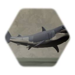 Megalodon