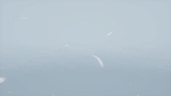 MCS - late For Destiny