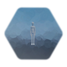 First Person Character With Gun Toggle