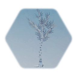 Tree trees snow to green to autumn to sands all in one.