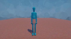 Real Cloth Test